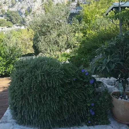 In Mit Schoenem Garten * Makarska